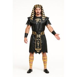 EraSpooky‎ Egyptian King Costume Men's Medium Pharaoh Outfit Complete Set NIB